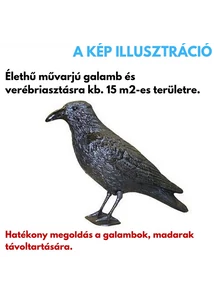 Galambriasztó varjú madárriasztó figura